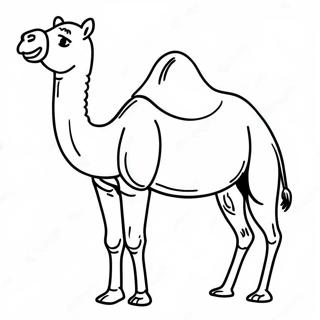 ਉਠ ਰੰਗੀਨ ਪੰਨਾ ਰੰਗ ਕਰਨ ਵਾਲੇ ਪੰਨੇ